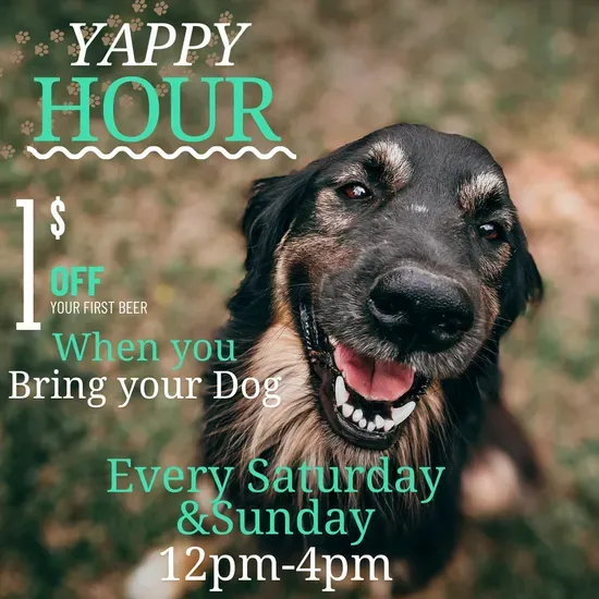 Yappy Hour at the Tap House