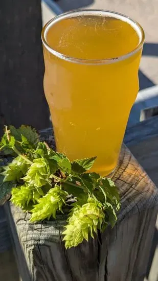 Harvest Pale Ale