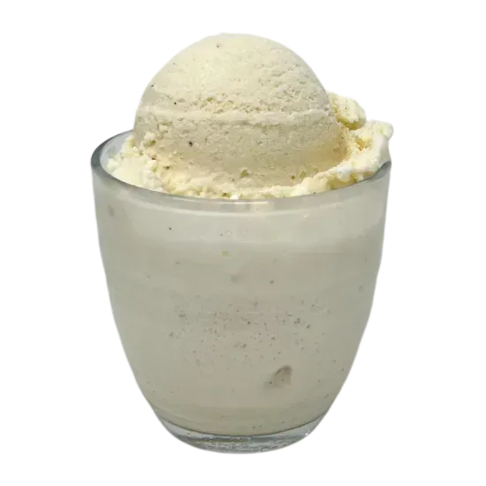 Vanilla Bean Ice Cream