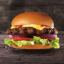 Hamburger Kid's Meal