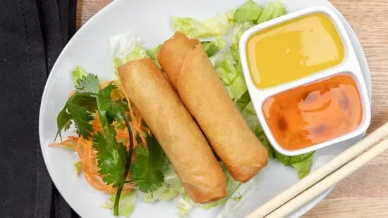 Homemade Crispy Vegetable Spring Roll (2)