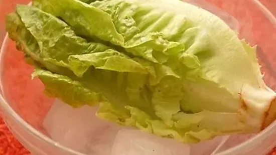 Extra Lettuce