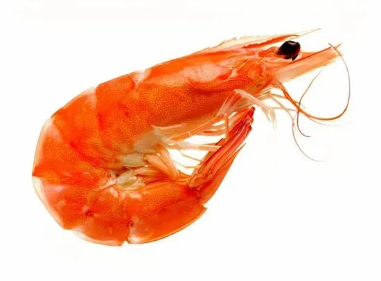 Shrimps with Head (1 lb)