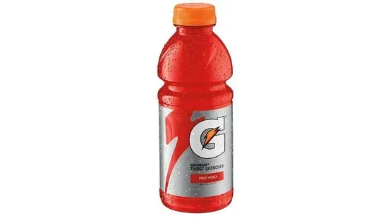 Gatorade Fruit Punch or Similar - 20oz Bottle 