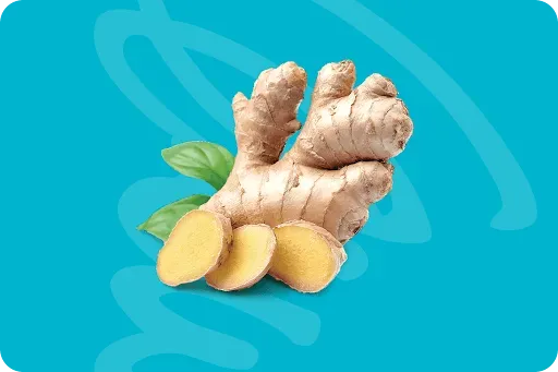 Ginger