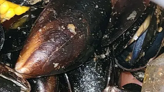 0.5 Lb Black Mussel