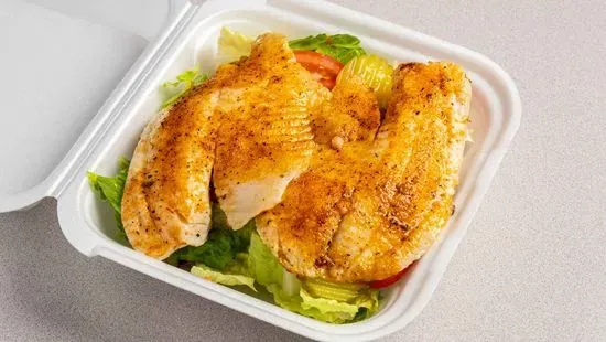 Tilapia