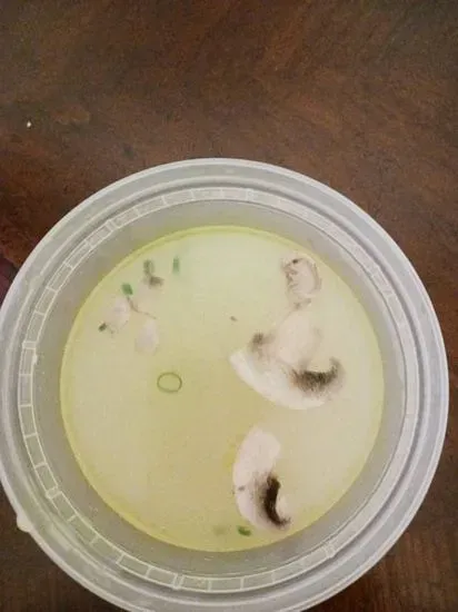 Chicken Clear Soup