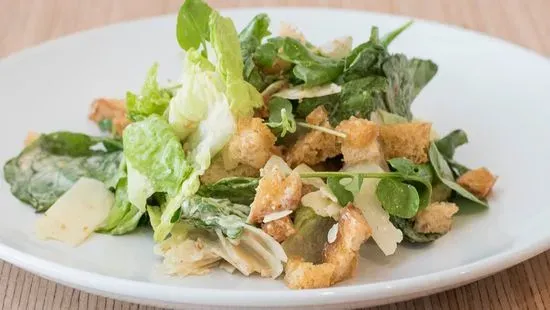 Caesar Salad 1/2