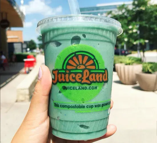 PARADISE FOUND