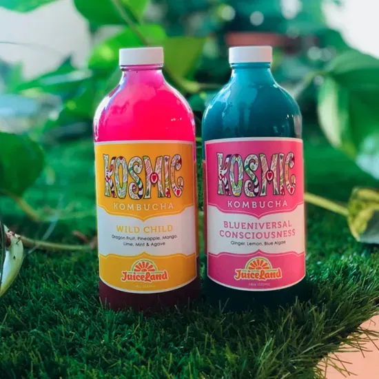 Kosmic Kombucha