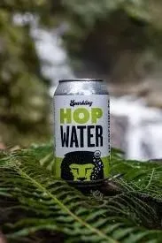 Aslan Sparkling Hop Water