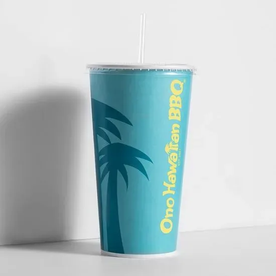 Large Fountain Drink