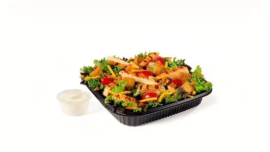 Garden Salad w/ Grilled Chicken