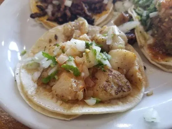 Small Fish Taco