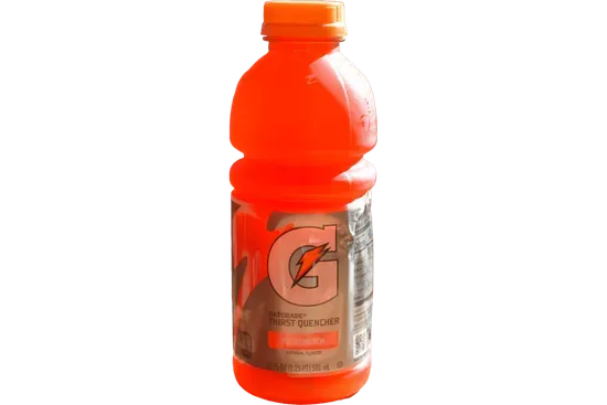 Gatorade Fruit Punch 20oz