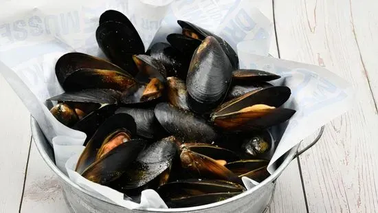 Add Mussels