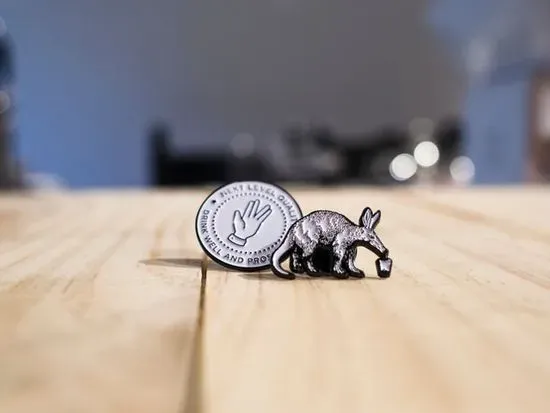 Enamel Pin - Next Level