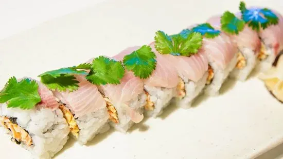 Baja Hamachi