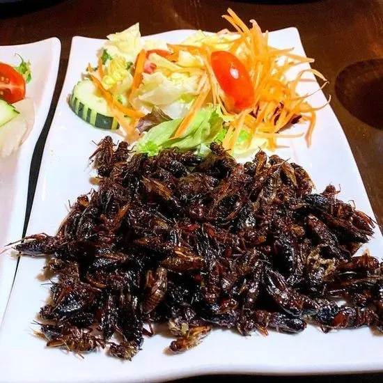 Fried Crickets