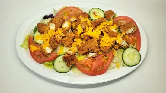 Chicken Strip Salad w/ Fries