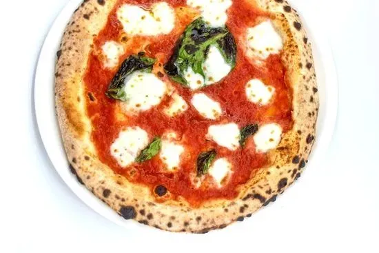 MARGHERITA