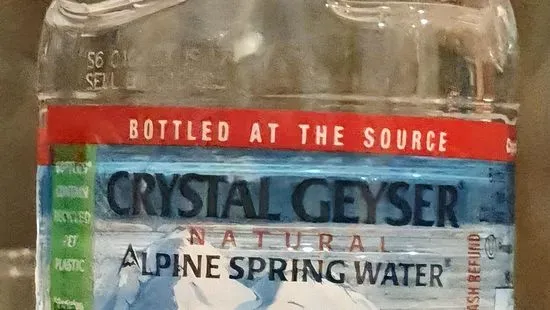 Bottled Water (16.9 oz)