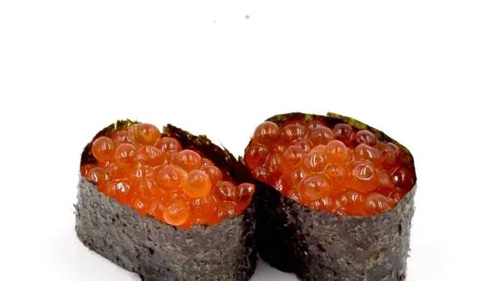 Salmon Egg