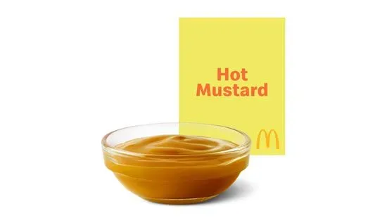 Hot Mustard Dipping Sauce