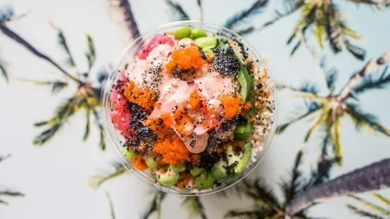 Regular Bowl (2 Protein, 2 Topping)