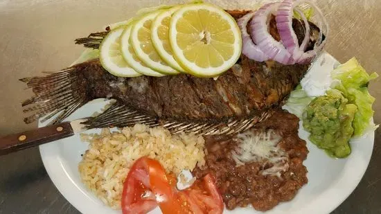 Tilapia Fish