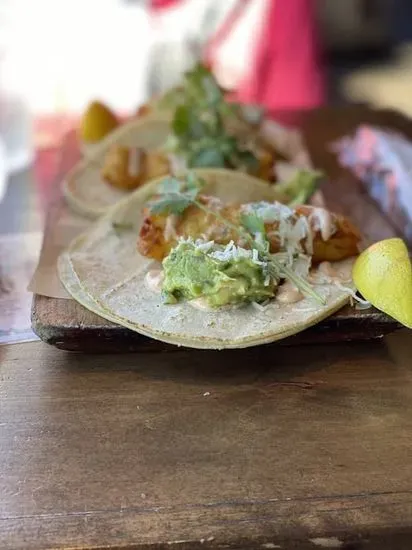 Fresh Grilled Fish Taco