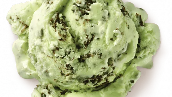 Homemade Mint Chocolate Chip 2-Dip