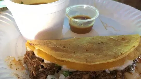 Quesa Birria Taco