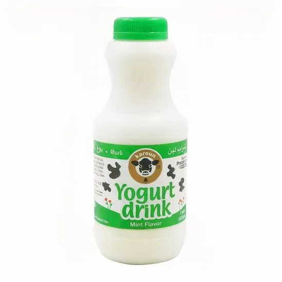 Plain Mint Yogurt Drink ( Dogh )