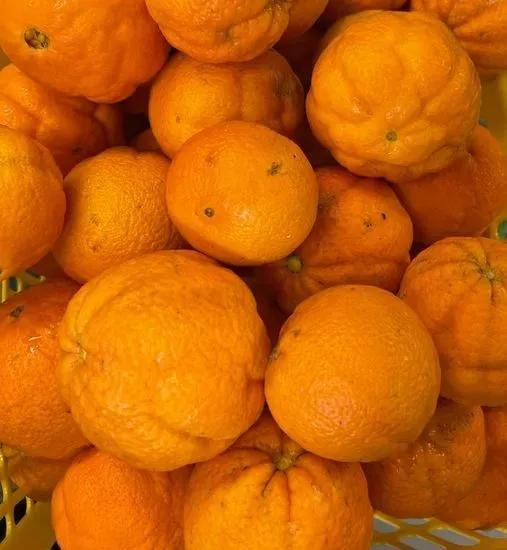 Orange Juice 