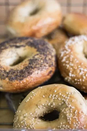 Single  Bagel