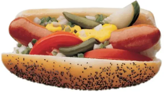 Chicago Dog`