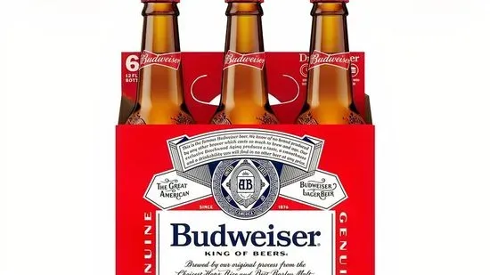 6 Pack Budweiser