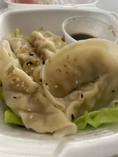 Gyoza Japanese Appetizer