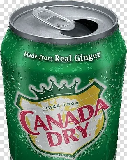 Ginger Ale - Soft Drink