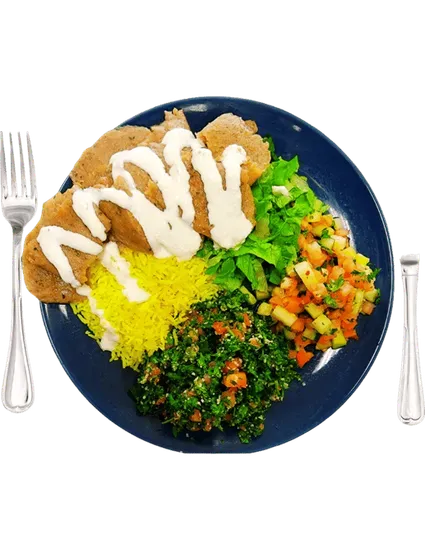 Gyro Plate