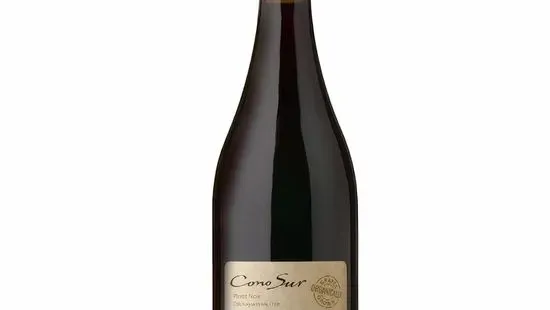 Cono Sur Pinot Noir Bottle