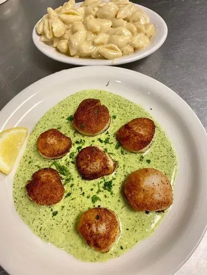 Sea Scallops