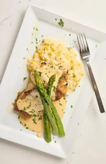 Florida Grouper