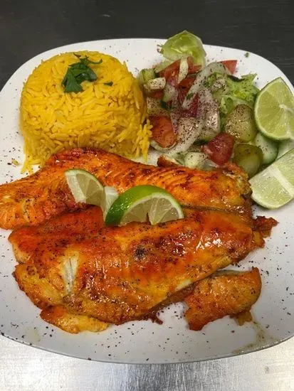 Tilapia Fish Entrée