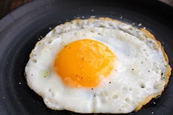 Egg