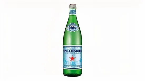 16.9 oz Bottle of S. Pellegrino