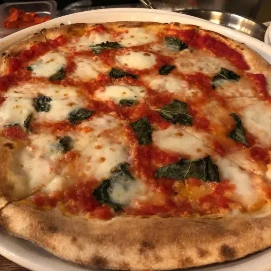 Wood Fired Margherita