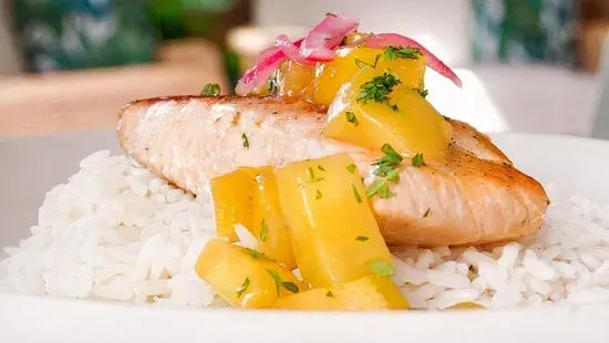 Salmon Bowl
